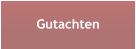 Gutachten